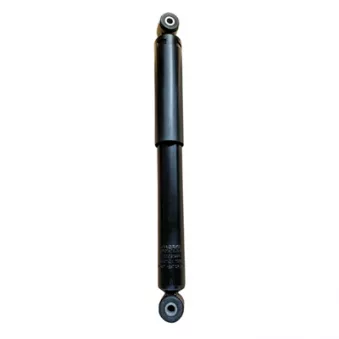 Jeu de 2 amortisseurs arrière GOOM F220G1288