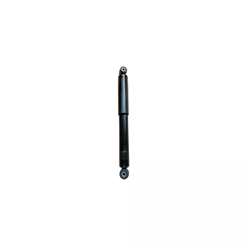 Jeu de 2 amortisseurs arrière GOOM F220G1288