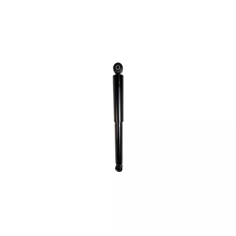 Jeu de 2 amortisseurs arrière GOOM F220G1289