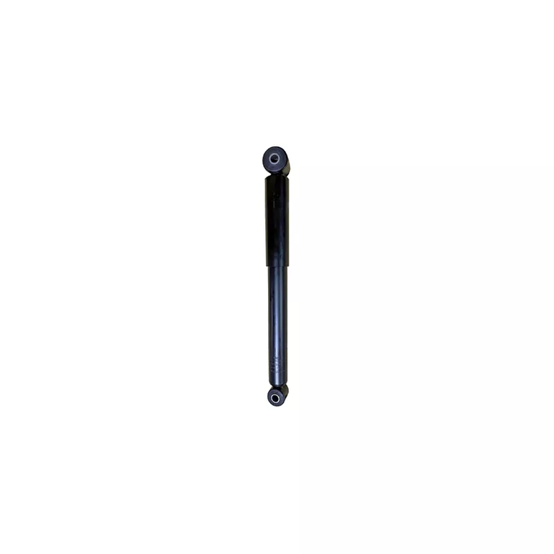 Jeu de 2 amortisseurs arrière GOOM F220G1290