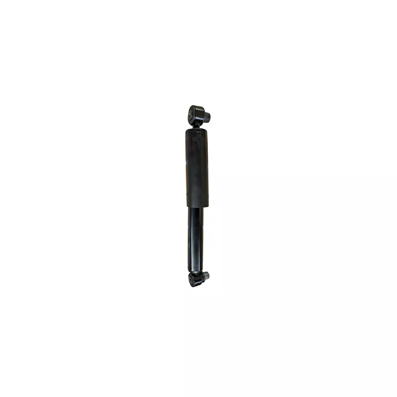 Jeu de 2 amortisseurs arrière GOOM F220G1295