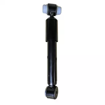 Jeu de 2 amortisseurs arrière GOOM F220G1296