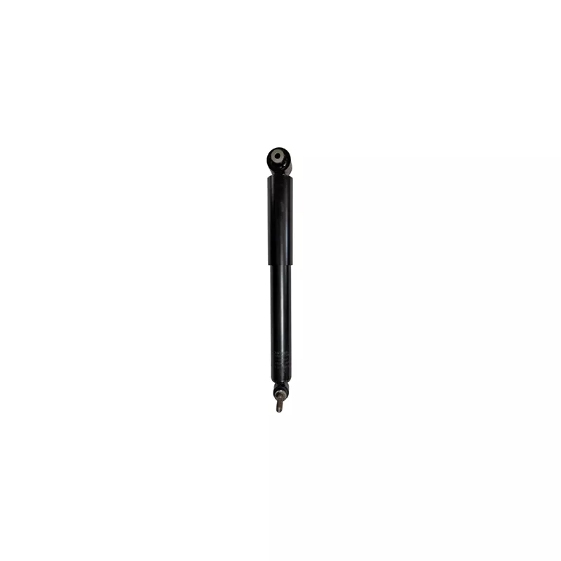 Jeu de 2 amortisseurs arrière GOOM F220G1297