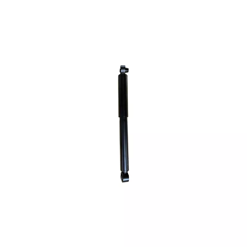 Jeu de 2 amortisseurs arrière GOOM F220G1298
