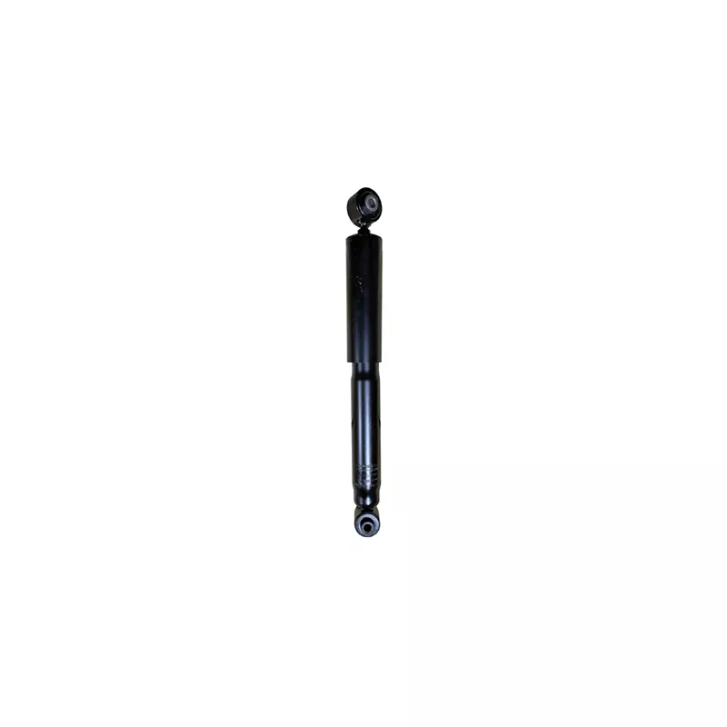 Jeu de 2 amortisseurs arrière GOOM F220G1299