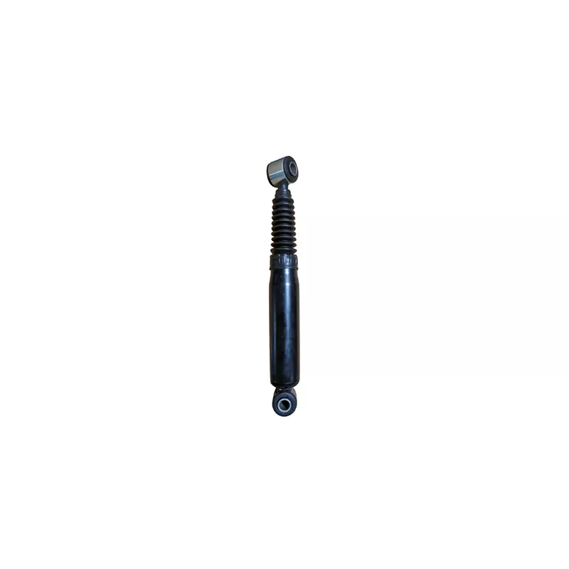 Jeu de 2 amortisseurs arrière GOOM F220G1304