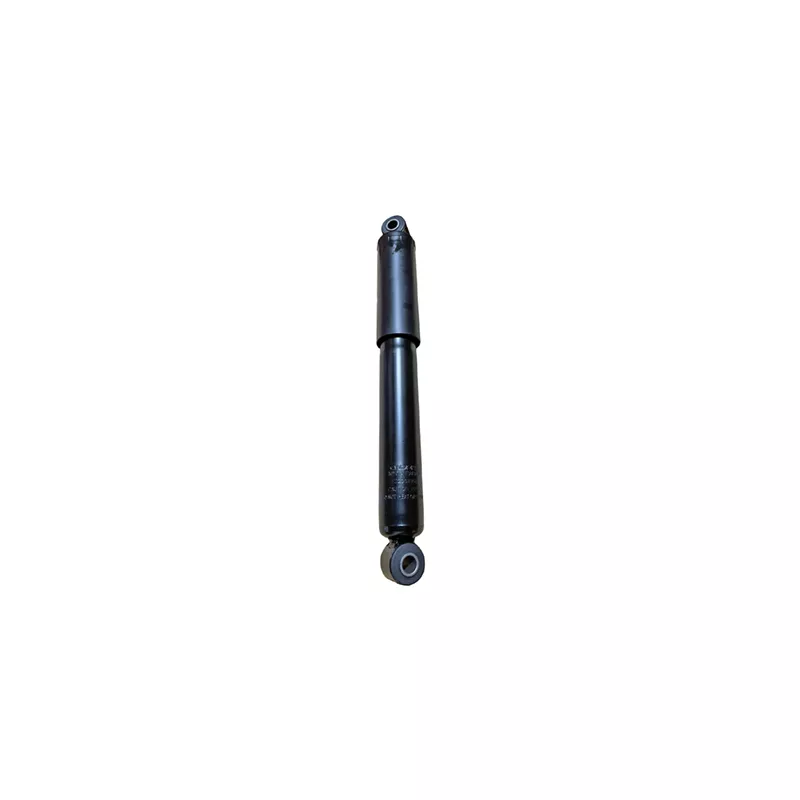 Jeu de 2 amortisseurs arrière GOOM F220G1309