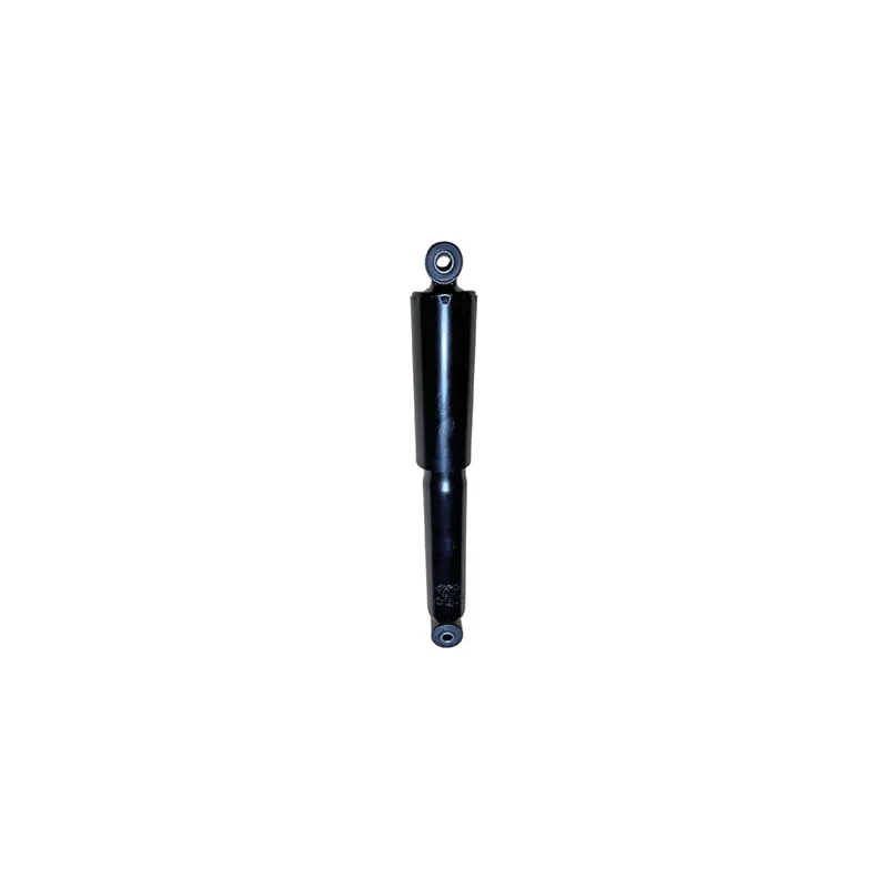 Jeu de 2 amortisseurs arrière GOOM F220G1311