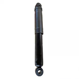 Jeu de 2 amortisseurs arrière GOOM F220G1312