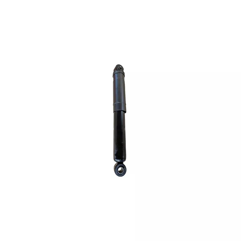 Jeu de 2 amortisseurs arrière GOOM F220G1312