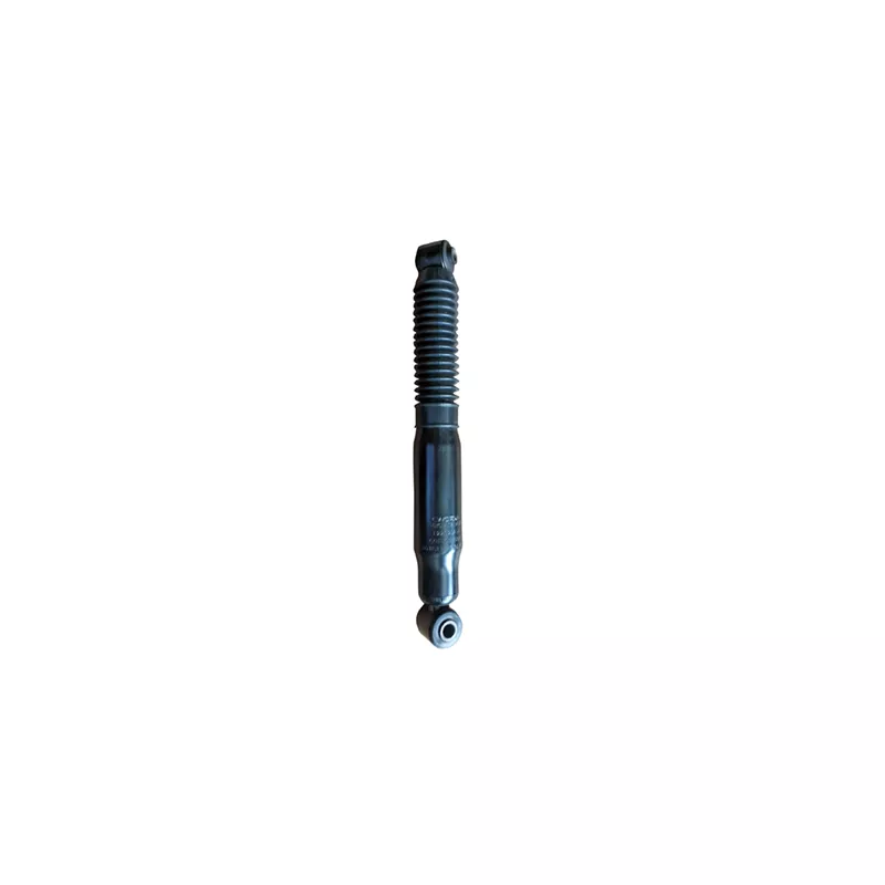 Jeu de 2 amortisseurs arrière GOOM F220G1313