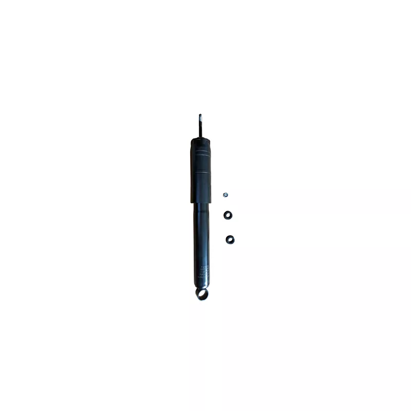 Jeu de 2 amortisseurs arrière GOOM F220G1314
