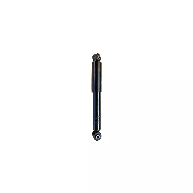 Jeu de 2 amortisseurs arrière GOOM F220G1316