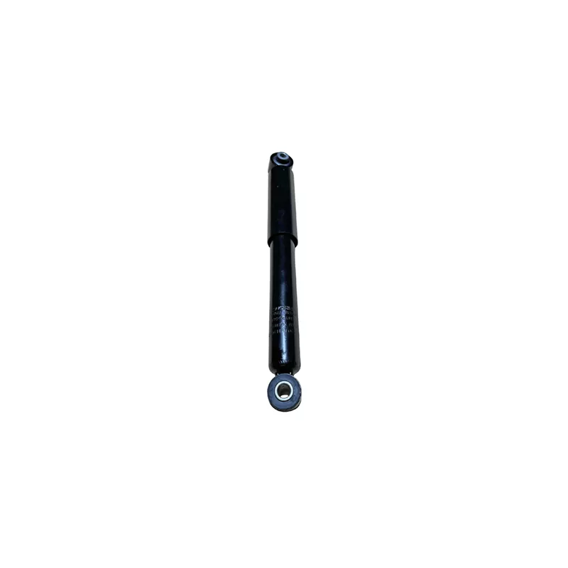 Jeu de 2 amortisseurs arrière GOOM F220G1317