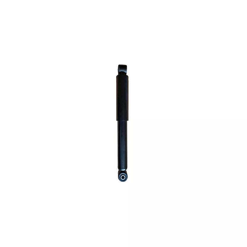 Jeu de 2 amortisseurs arrière GOOM F220G1318