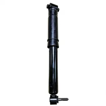 Jeu de 2 amortisseurs arrière GOOM F220G1320