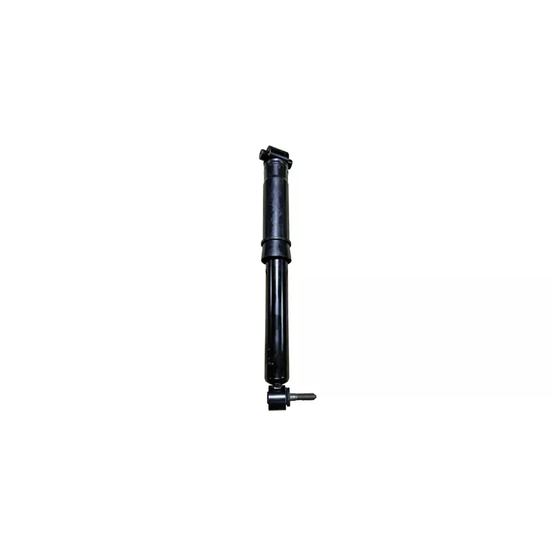 Jeu de 2 amortisseurs arrière GOOM F220G1320