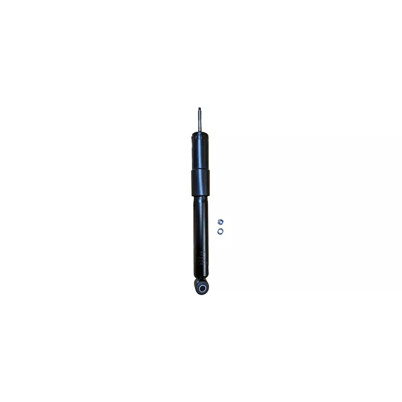 Jeu de 2 amortisseurs arrière GOOM F220G1321