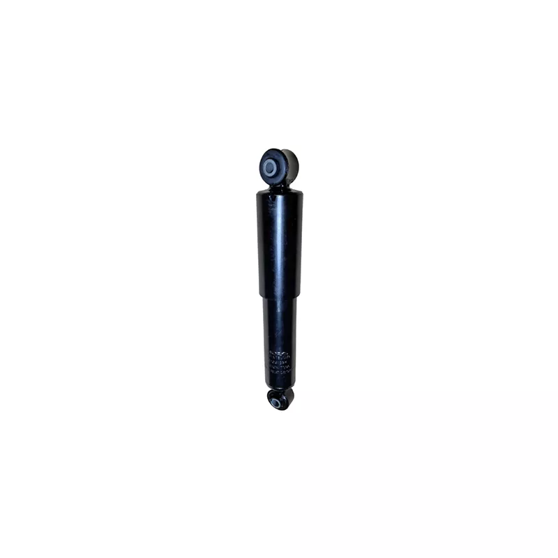 Jeu de 2 amortisseurs arrière GOOM F220G1324