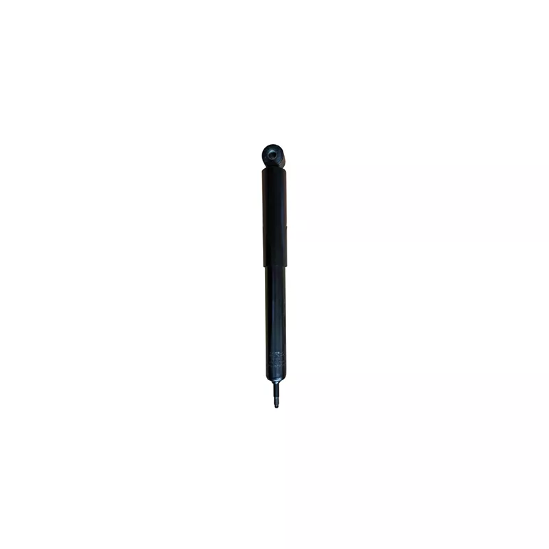 Jeu de 2 amortisseurs arrière GOOM F220G1327