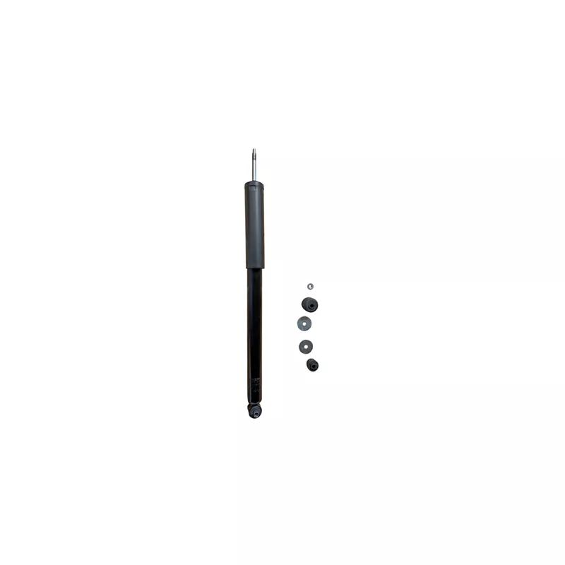 Jeu de 2 amortisseurs arrière GOOM F220G1338