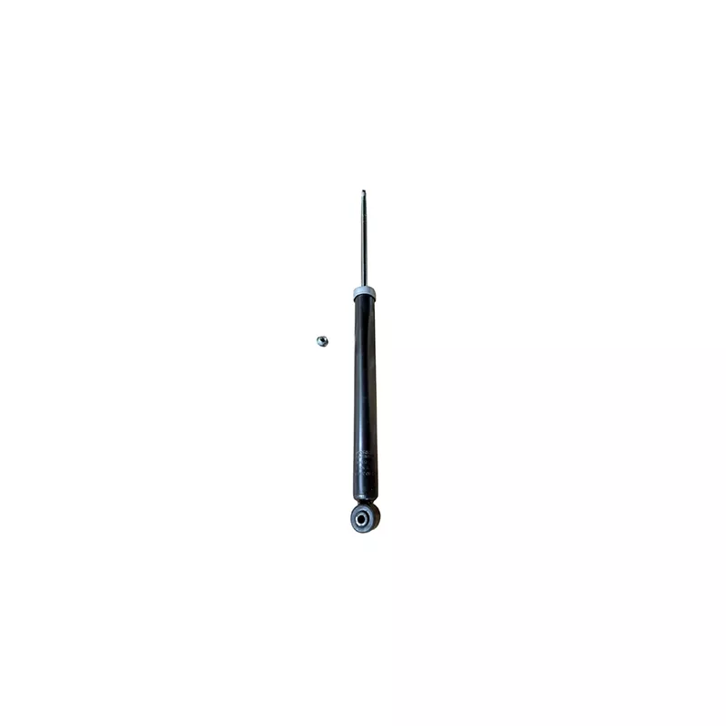 Jeu de 2 amortisseurs arrière GOOM F220G1340