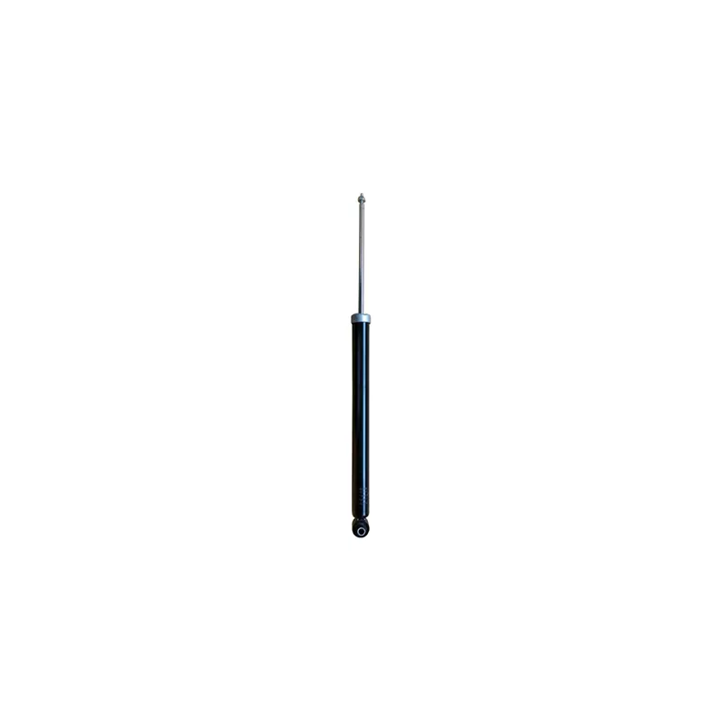 Jeu de 2 amortisseurs arrière GOOM F220G1342