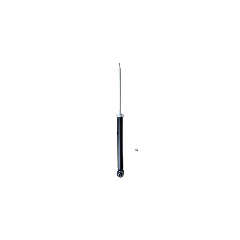 Jeu de 2 amortisseurs arrière GOOM F220G1345