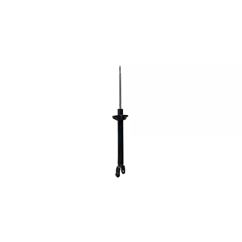 Jeu de 2 amortisseurs arrière GOOM F220G1352