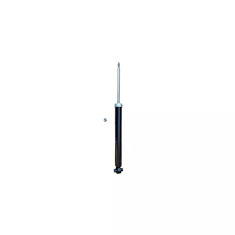 Jeu de 2 amortisseurs arrière GOOM F220G1358