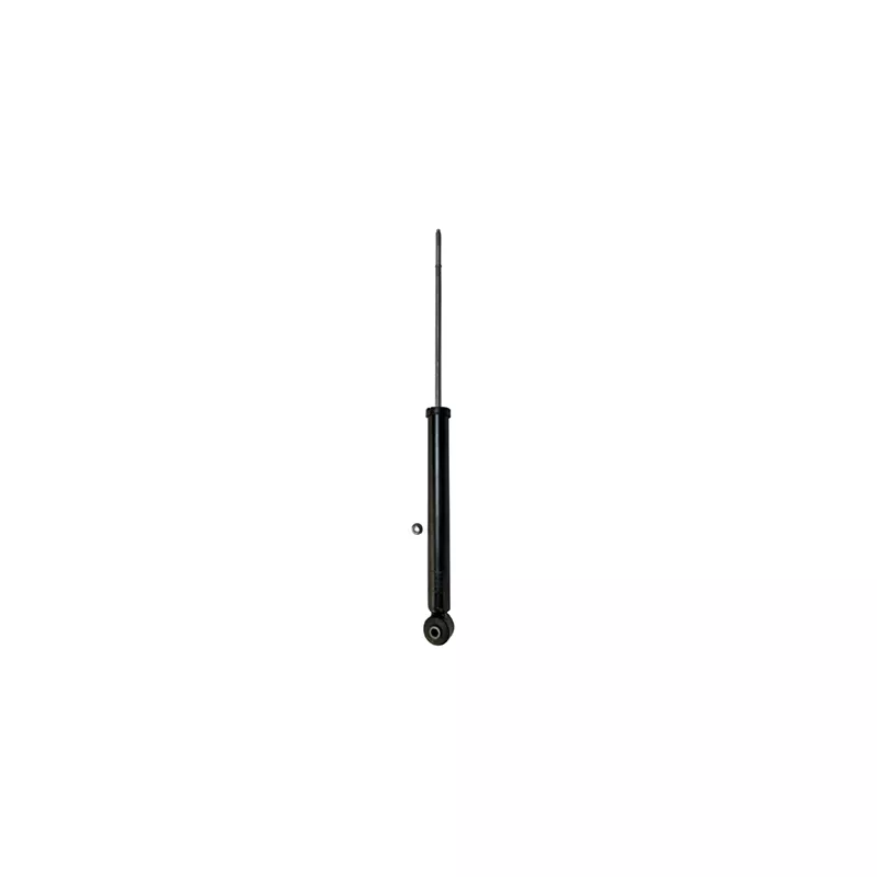 Jeu de 2 amortisseurs arrière GOOM F220G1361