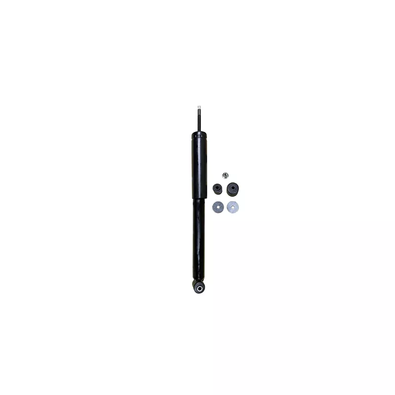 Jeu de 2 amortisseurs arrière GOOM F220G1365