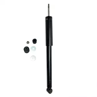 Jeu de 2 amortisseurs arrière GOOM F220G1368