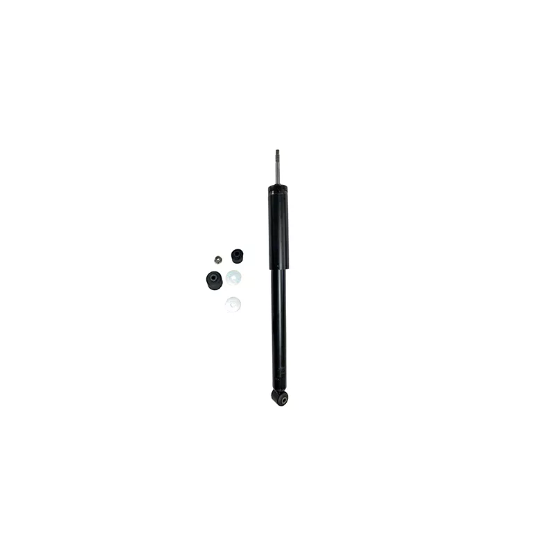 Jeu de 2 amortisseurs arrière GOOM F220G1368