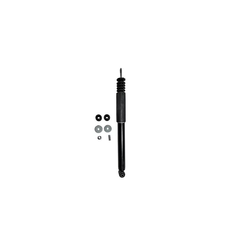 Jeu de 2 amortisseurs arrière GOOM F220G1369