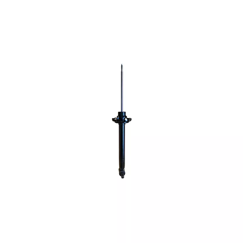 Jeu de 2 amortisseurs arrière GOOM F220G1372