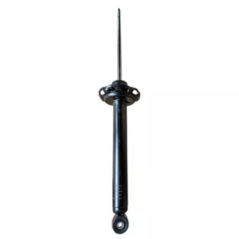 Jeu de 2 amortisseurs arrière GOOM F220G1374