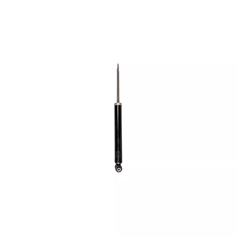 Jeu de 2 amortisseurs arrière GOOM F220G1380