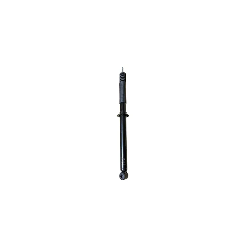 Jeu de 2 amortisseurs arrière GOOM F220G1381