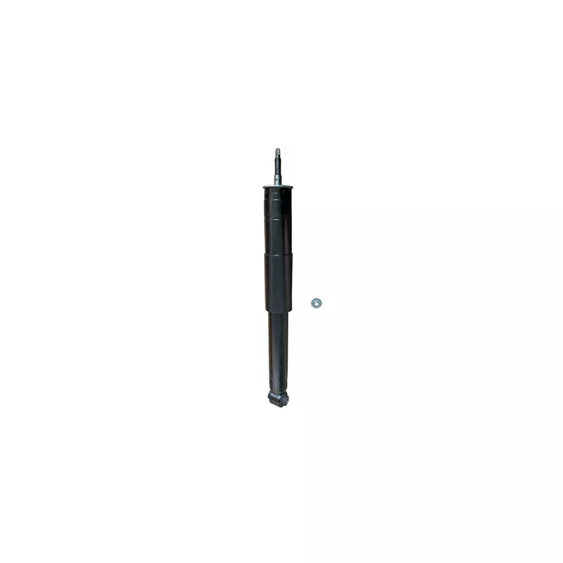 Jeu de 2 amortisseurs arrière GOOM F220G1389