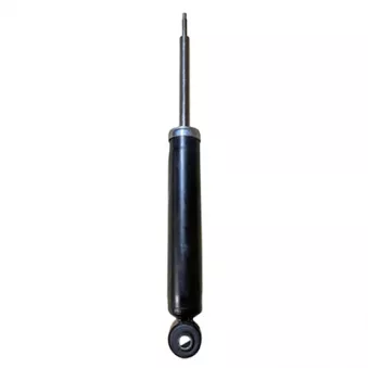 Jeu de 2 amortisseurs arrière GOOM F220G1393