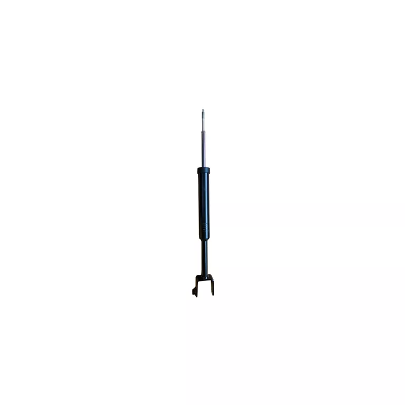 Jeu de 2 amortisseurs arrière GOOM F220G1394