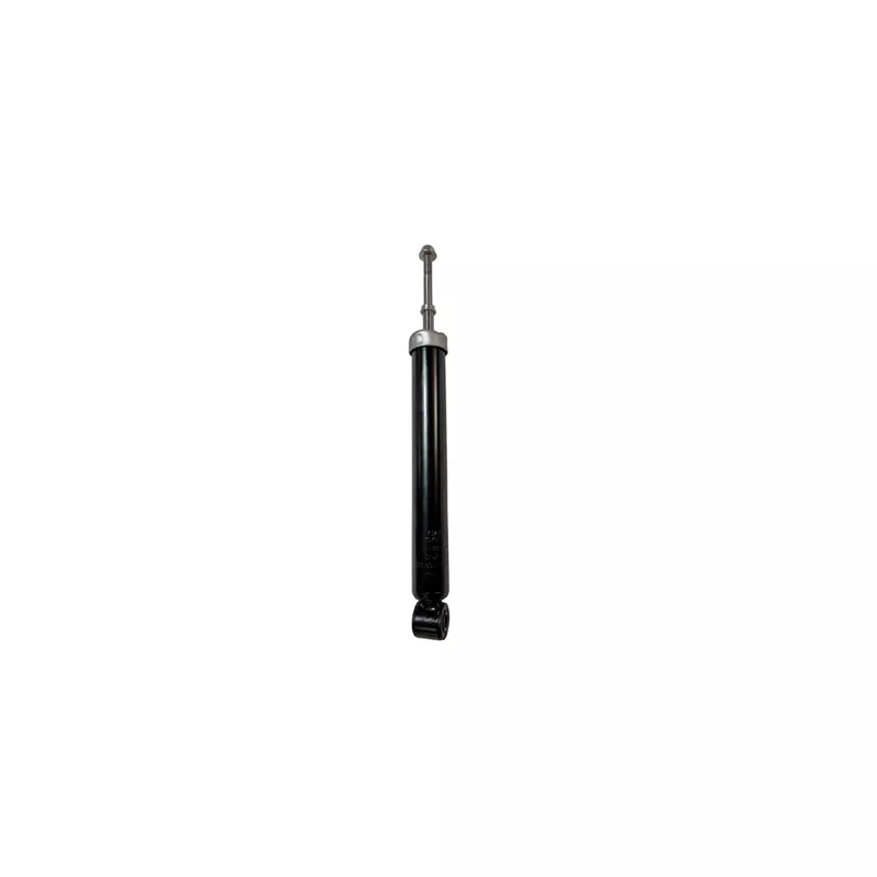 Jeu de 2 amortisseurs arrière GOOM F220G1402