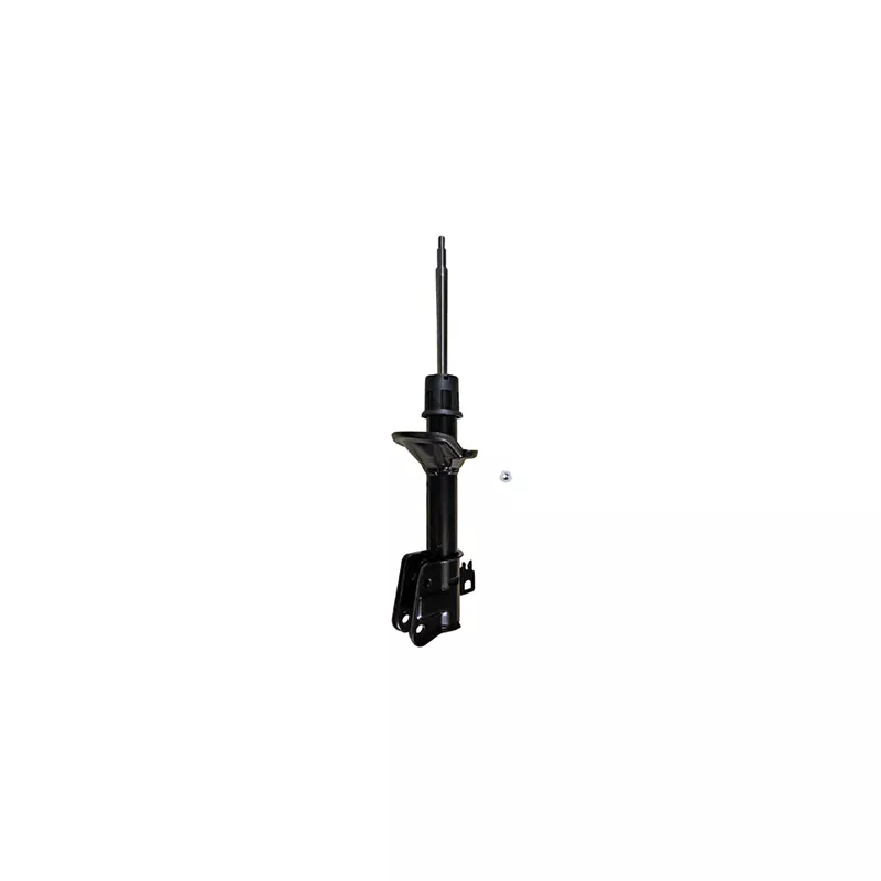 Amortisseur arrière droit GOOM F220G1595