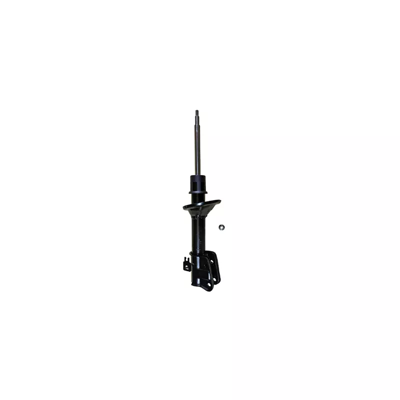 Amortisseur arrière gauche GOOM F220G1596