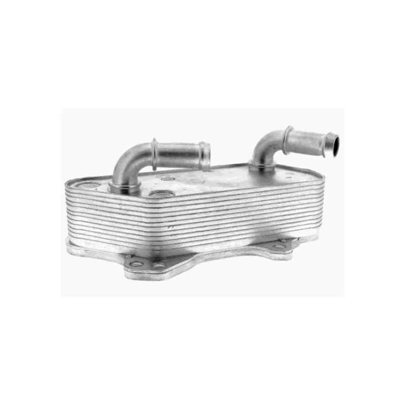 Radiateur d'huile GOOM OC-0191