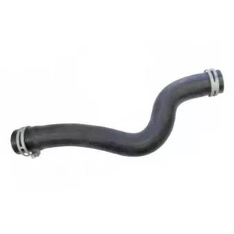 Durite de radiateur GOOM RH-3032