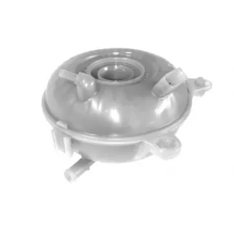 Vase d'expansion, liquide de refroidissement GOOM RT-0149