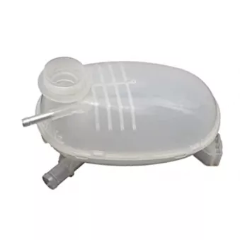 Vase d'expansion, liquide de refroidissement GOOM RT-0189