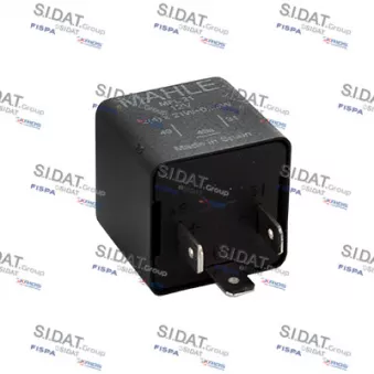 Centrale clignotante SIDAT 2.42101